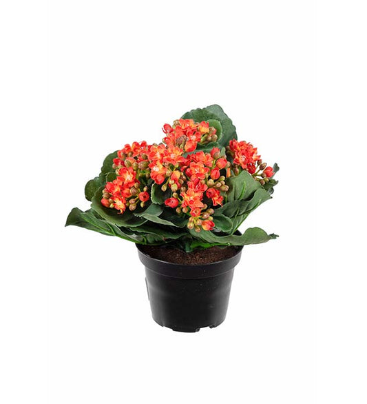 Mr plant Kunstplante Ildtopp 20 cm, orange