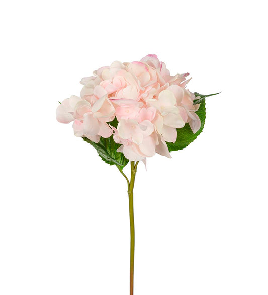 Hortensia 55 cm, pink