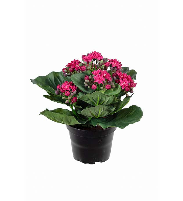 Mr plant Kunstplante Ildtopp 20 cm, purple