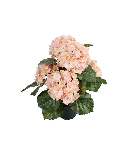 Hortensia 37 cm